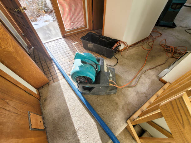 Best 24/7 water damage repair  in Lenoir City, TN