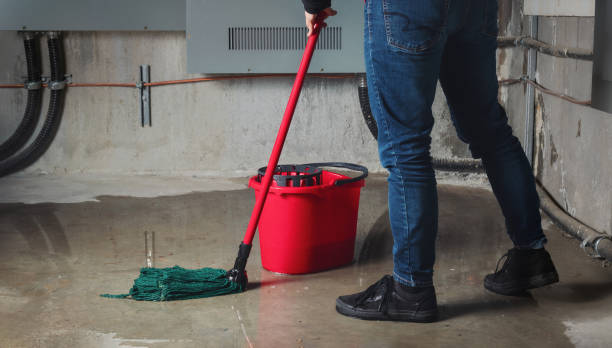 Best Water damage cleanup near me  in Lenoir City, TN