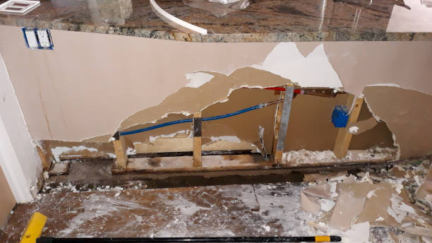 Best Carpet water damage restoration  in Lenoir City, TN