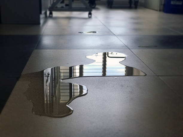 Best Commercial water damage restoration  in Lenoir City, TN