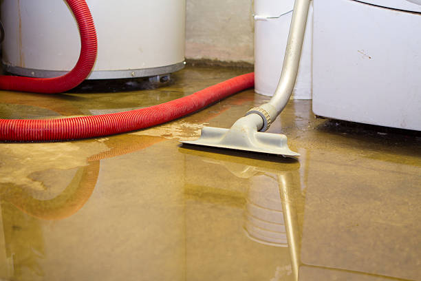 Best 24-hour water damage restoration  in Lenoir City, TN
