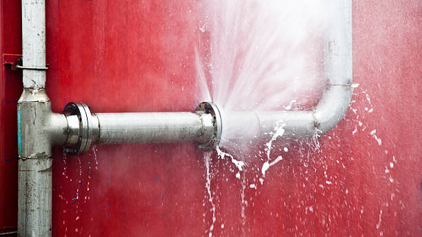 Best Flood restoration services  in Lenoir City, TN
